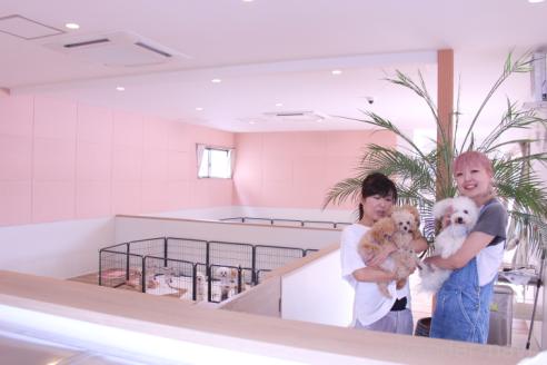 倉持健一ブリーダーの詳細